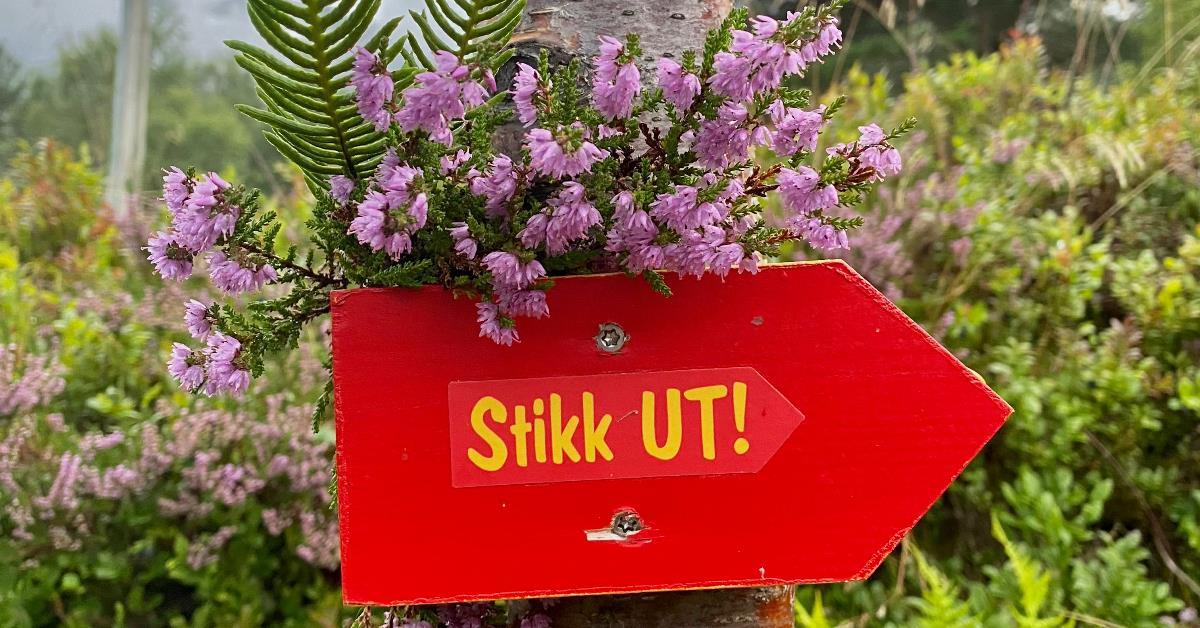 Raudt skilt med StikkUT! i gult. Skog, røsslyng og bregner i bakgrunnen. - Klikk for stort bilete