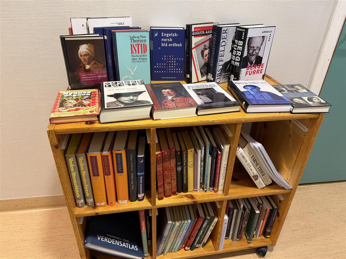 bokhylle med bøker - Klikk for stort bilete